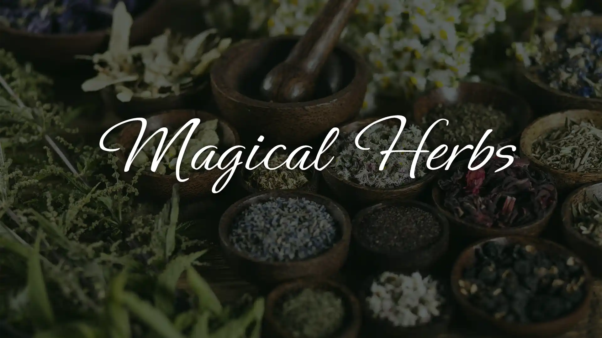 Magical Uses of Herbs Nyx Apothecary