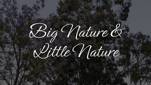 Big Nature & Little Nature