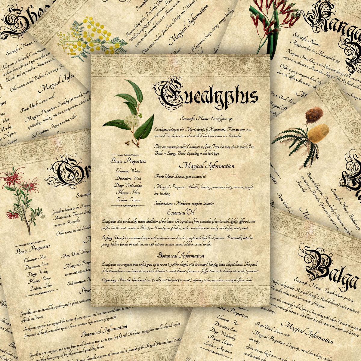 printable-grimoire-pages-individual-bundles-nyx-apothecary