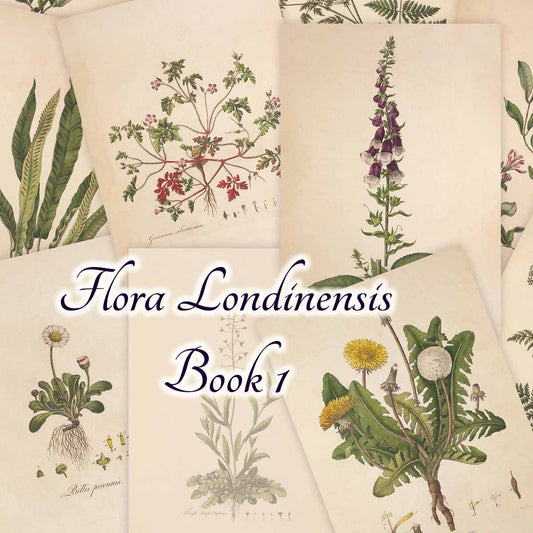 Flora Londinensis (Book 1)