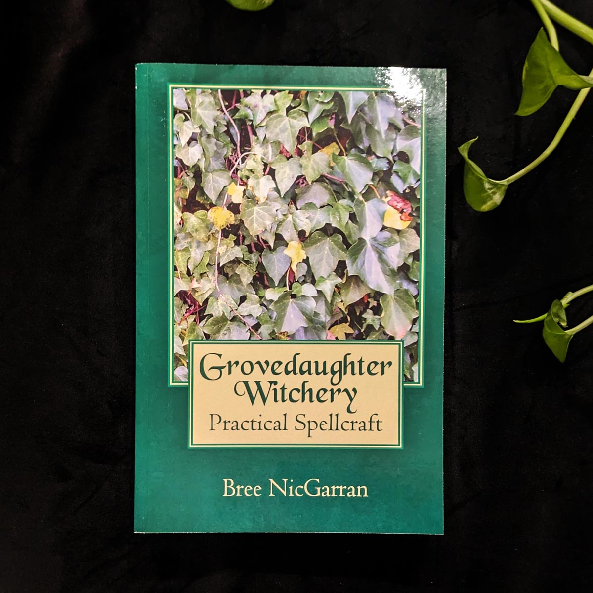 Grovedaughter Witchery by Bree NicGarran