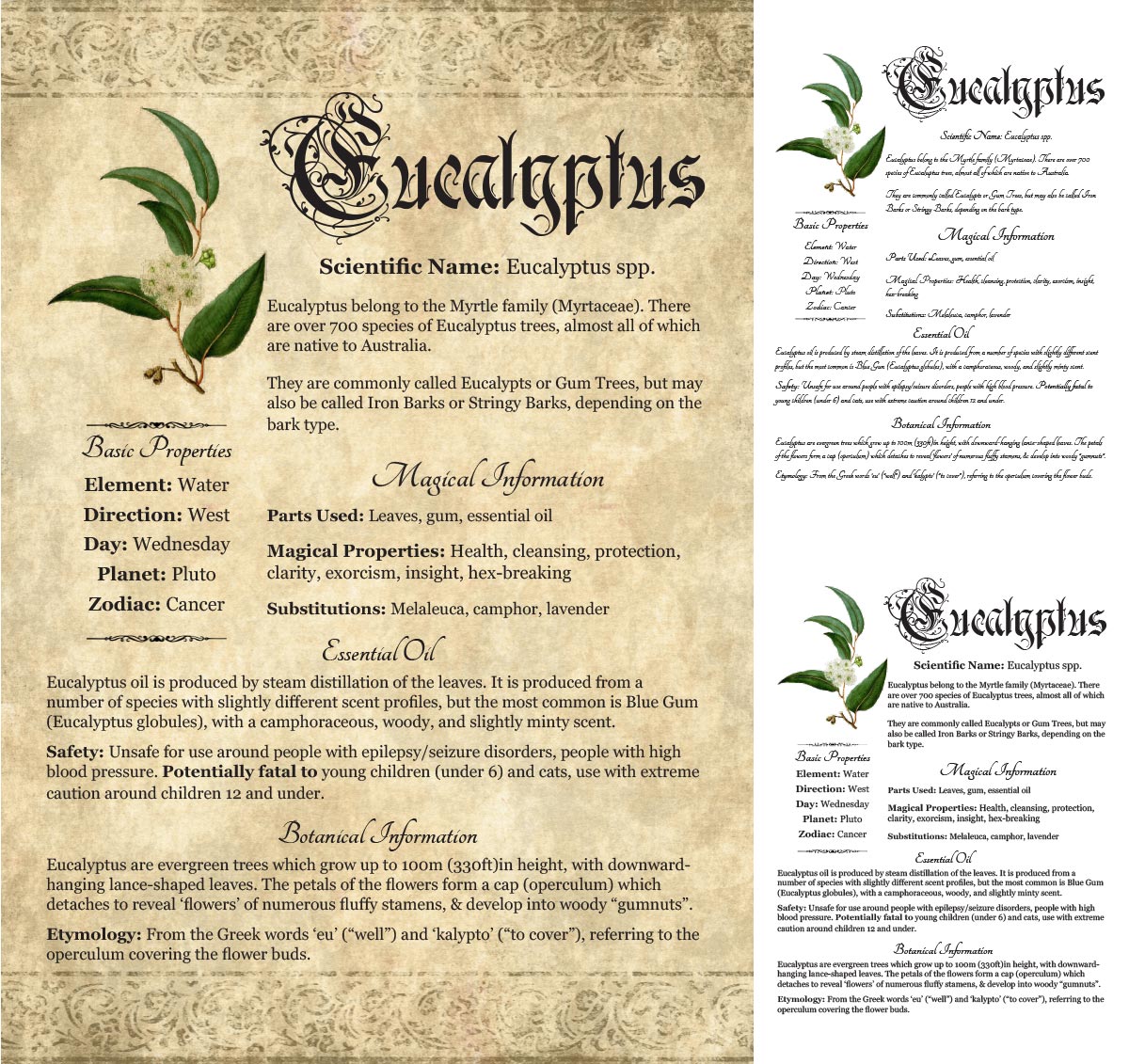 Collage of 3 versions of the Eucalyptus grimoire page: with a readable/serif vs script font + with/without background
