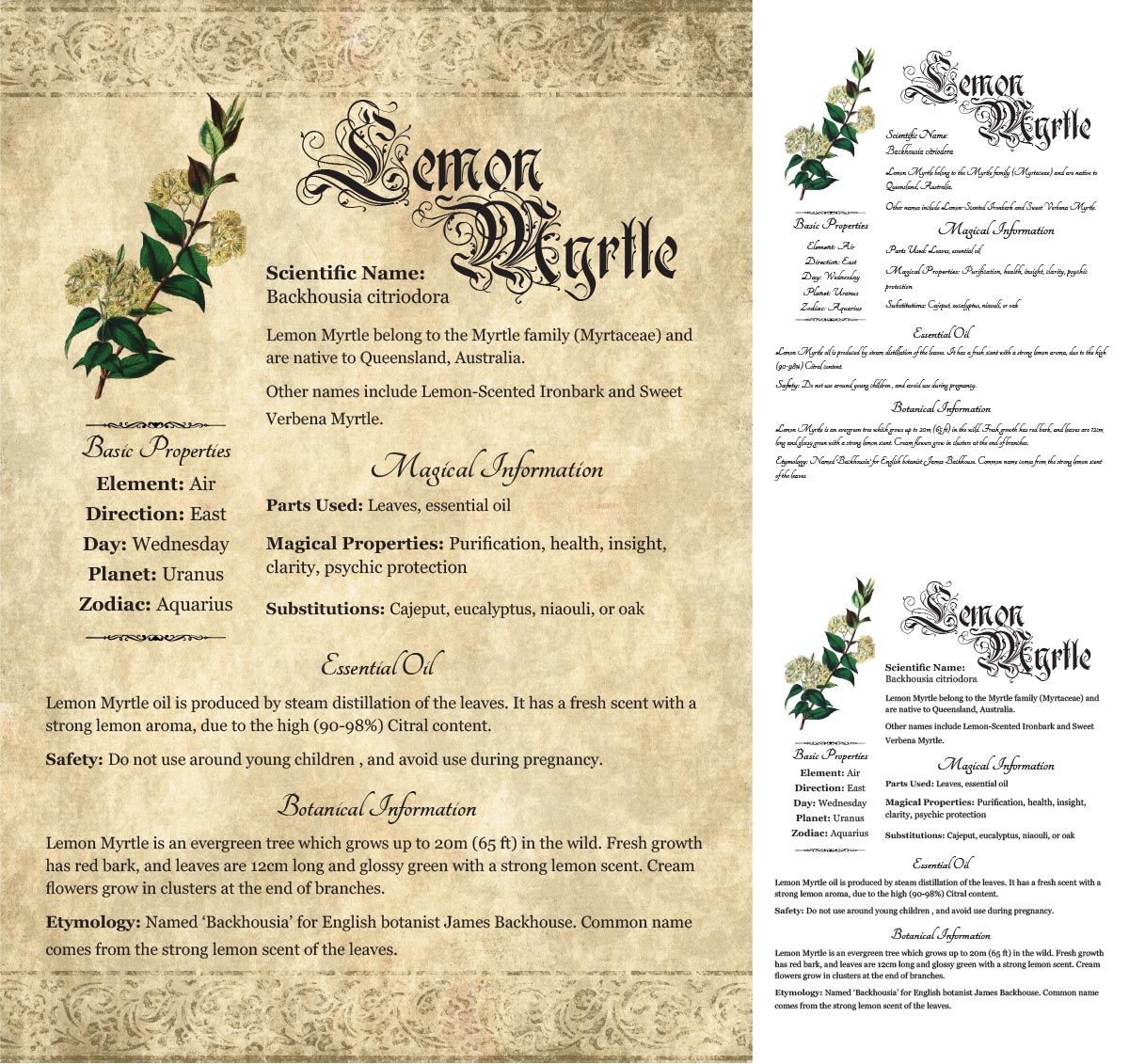 Collage of 3 versions of the Lemon Myrtle grimoire page: with a readable/serif vs script font + with/without background