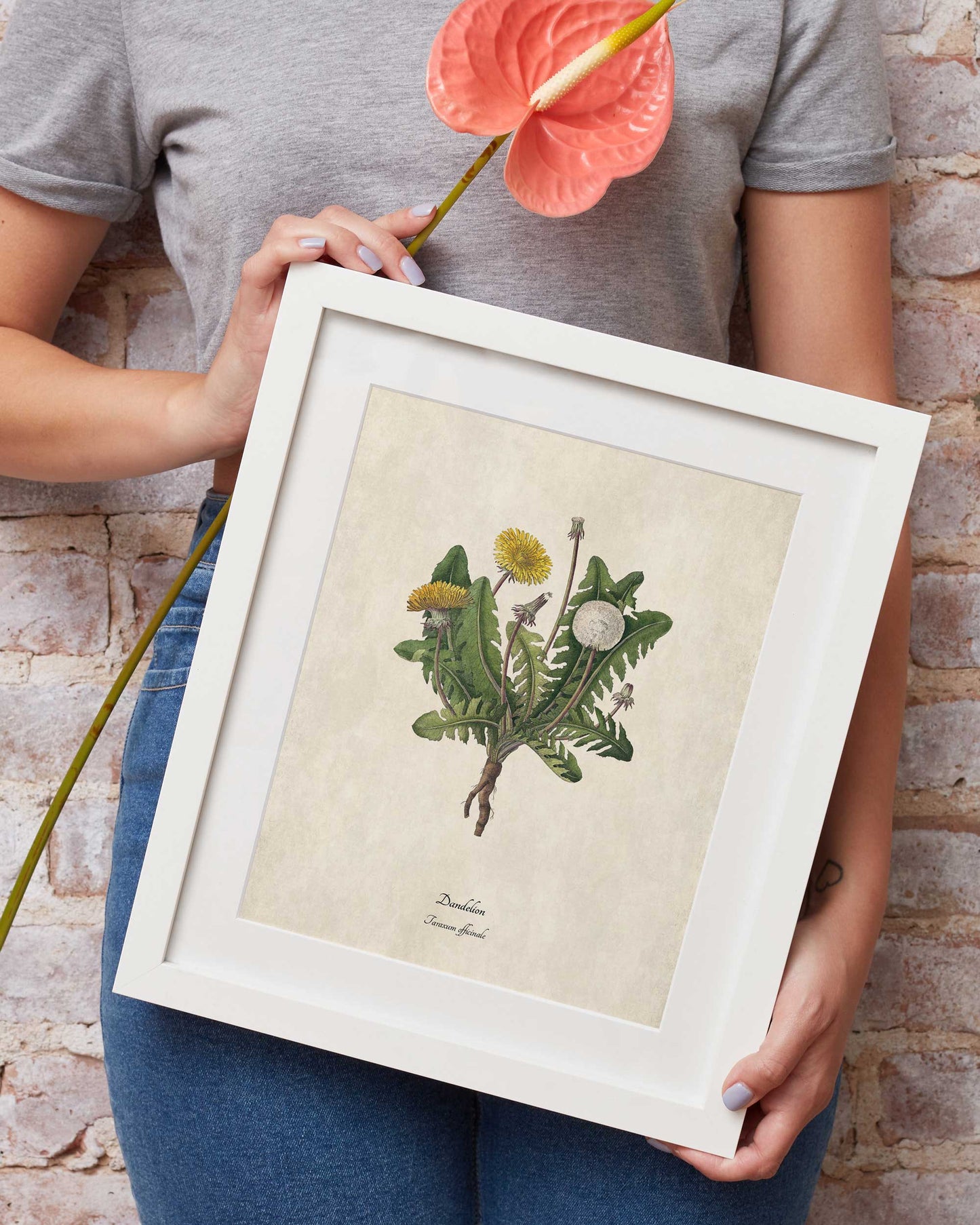 100 Antique Botanical Illustrations