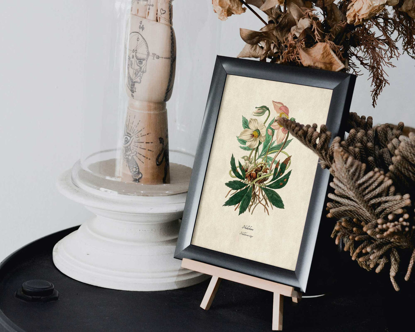 100 Antique Botanical Illustrations