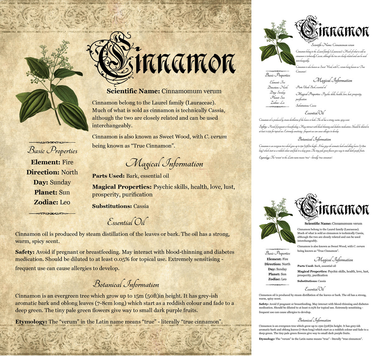 Collage of 3 versions of the Cinnamon grimoire page: with a readable/serif vs script font + with/without background