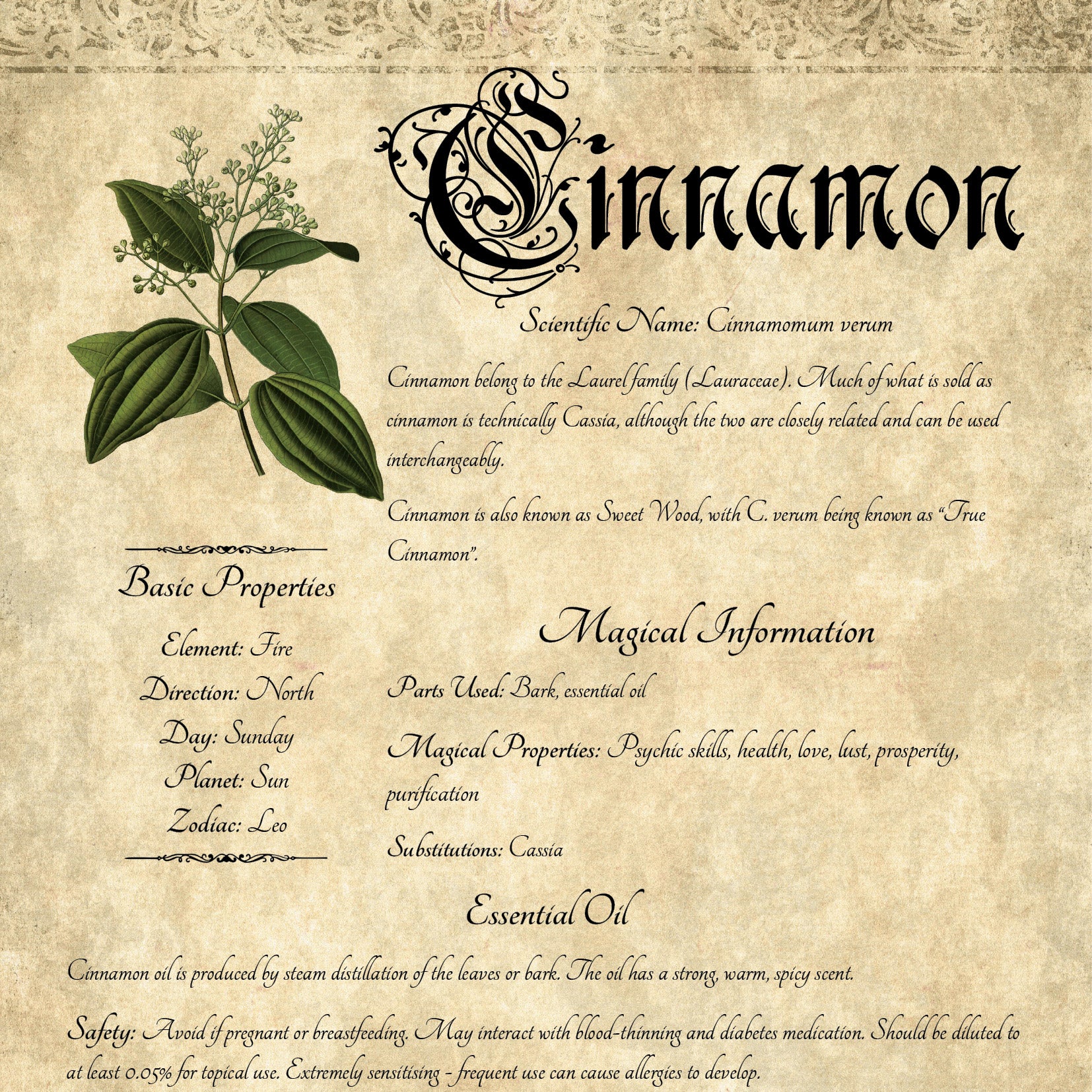 Antique-style grimoire page on the properties of Cinnamon, with an aged paper background and script font