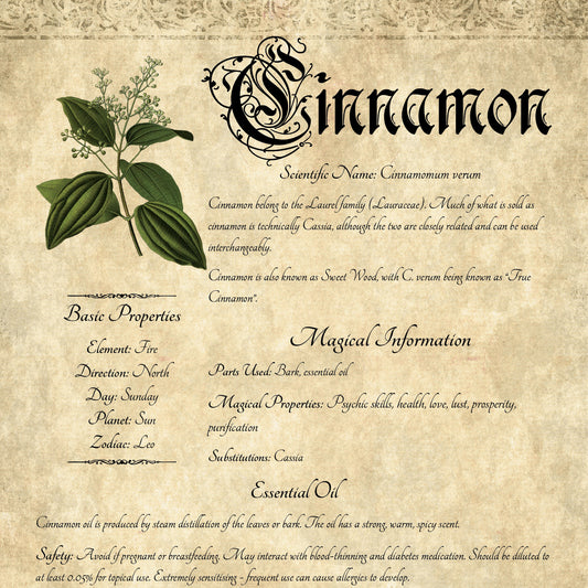 Antique-style grimoire page on the properties of Cinnamon, with an aged paper background and script font