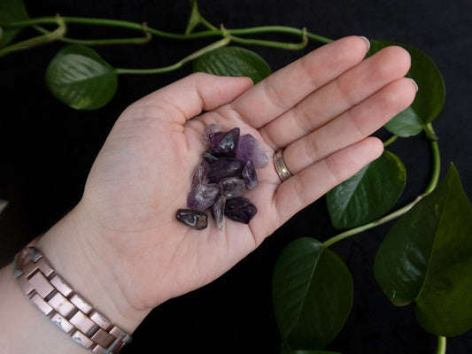 Amethyst Crystal Chips