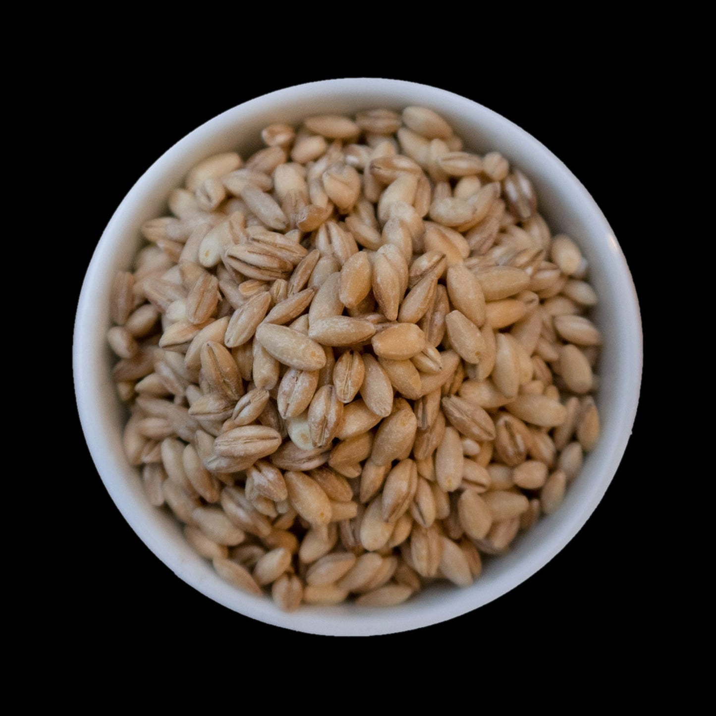 Whole pearled barley grains