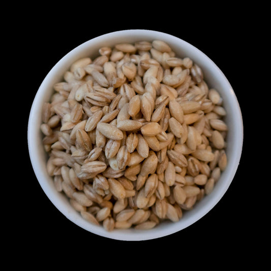 Whole pearled barley grains