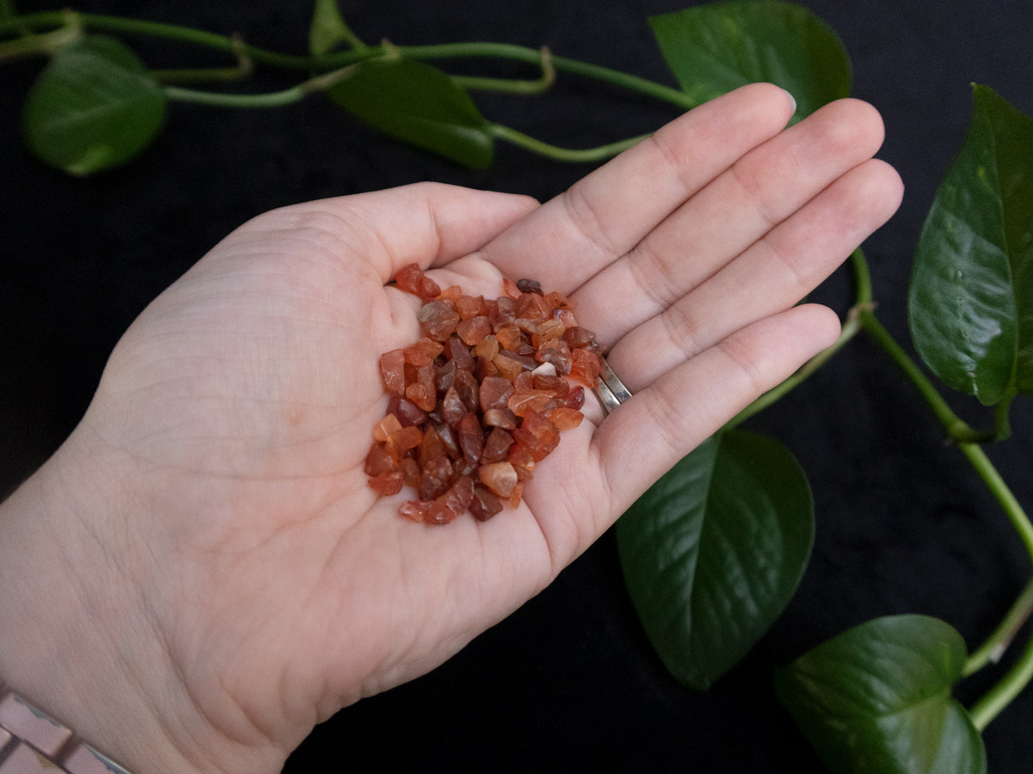 Carnelian Crystal Chips