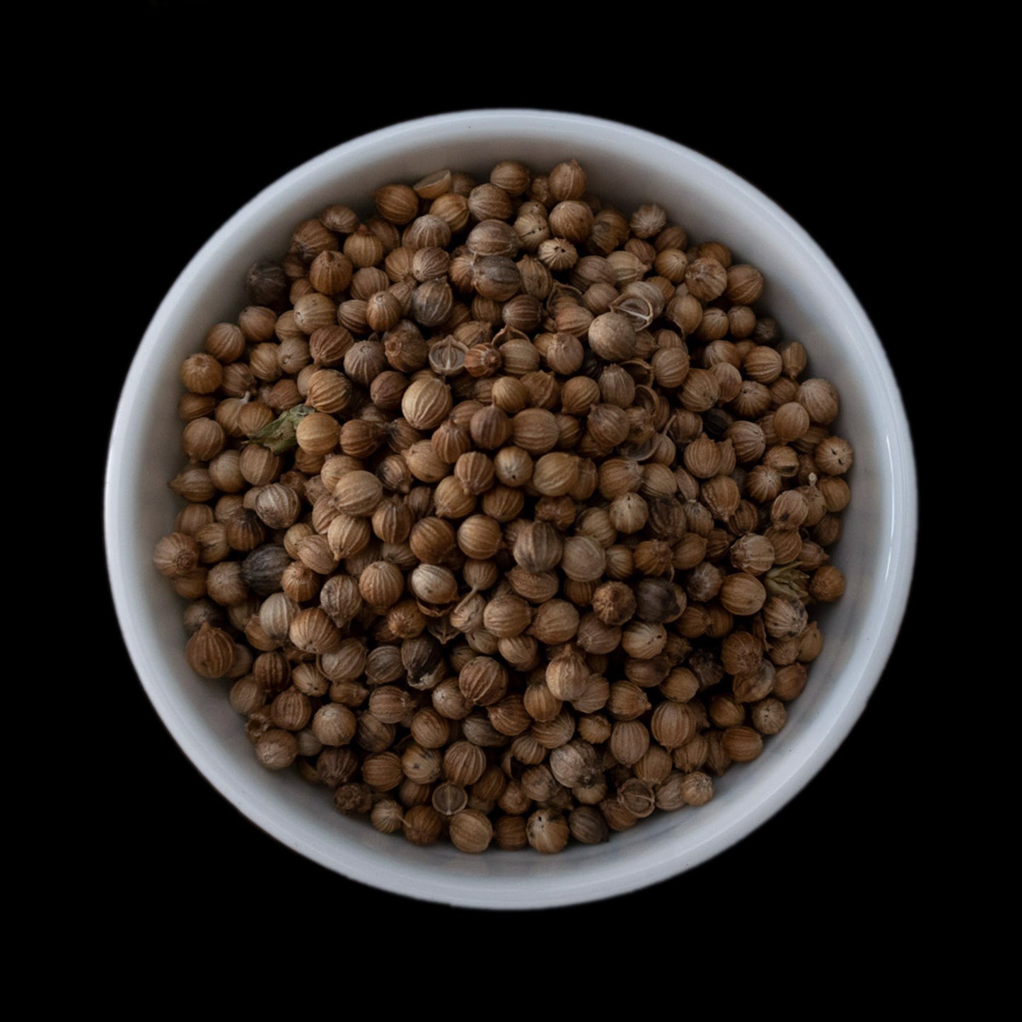 Whole coriander seeds