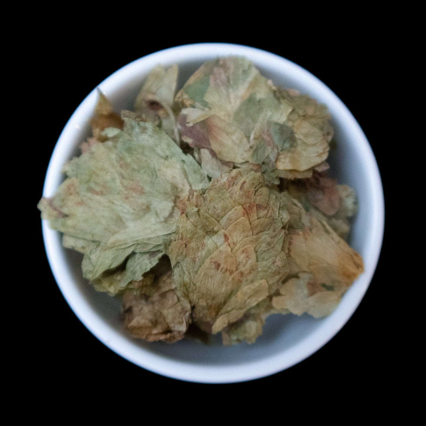 Hops flowers