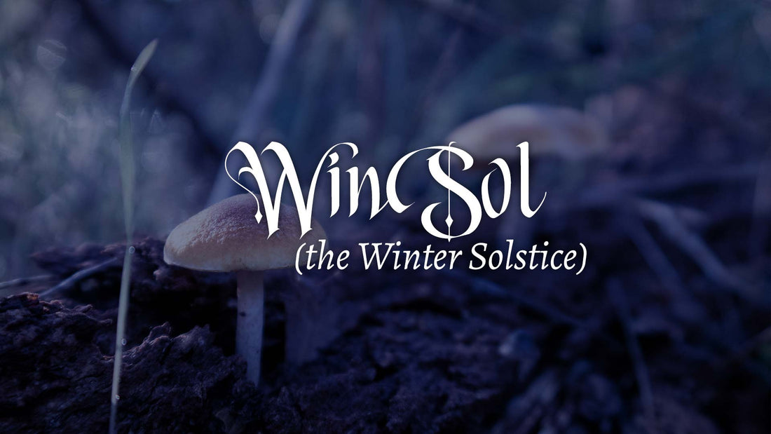 WinSol (the Winter Solstice)