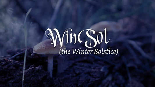 WinSol (the Winter Solstice)