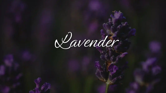 Lavender