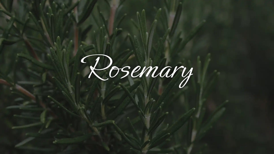Rosemary