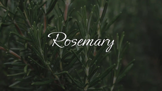 Rosemary
