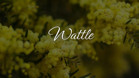 Wattle