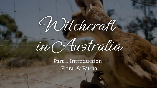 A kangaroo stares into the distance behind the words "Witchcraft in Australia; part 1: introduction, flora, & fauna". 