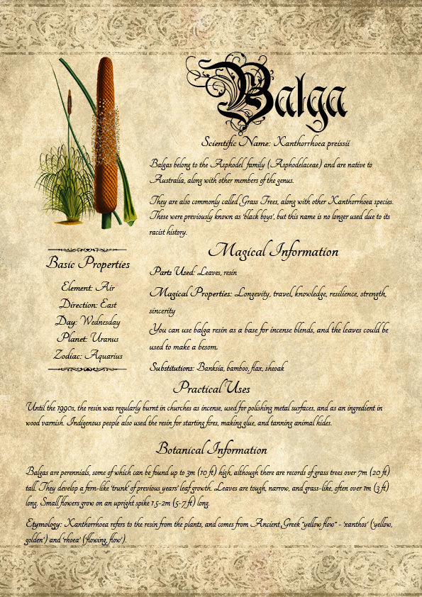 Antique-style grimoire page on the properties of Balga, with an aged paper background and script font