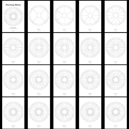 Phenology Wheels: Unlabelled