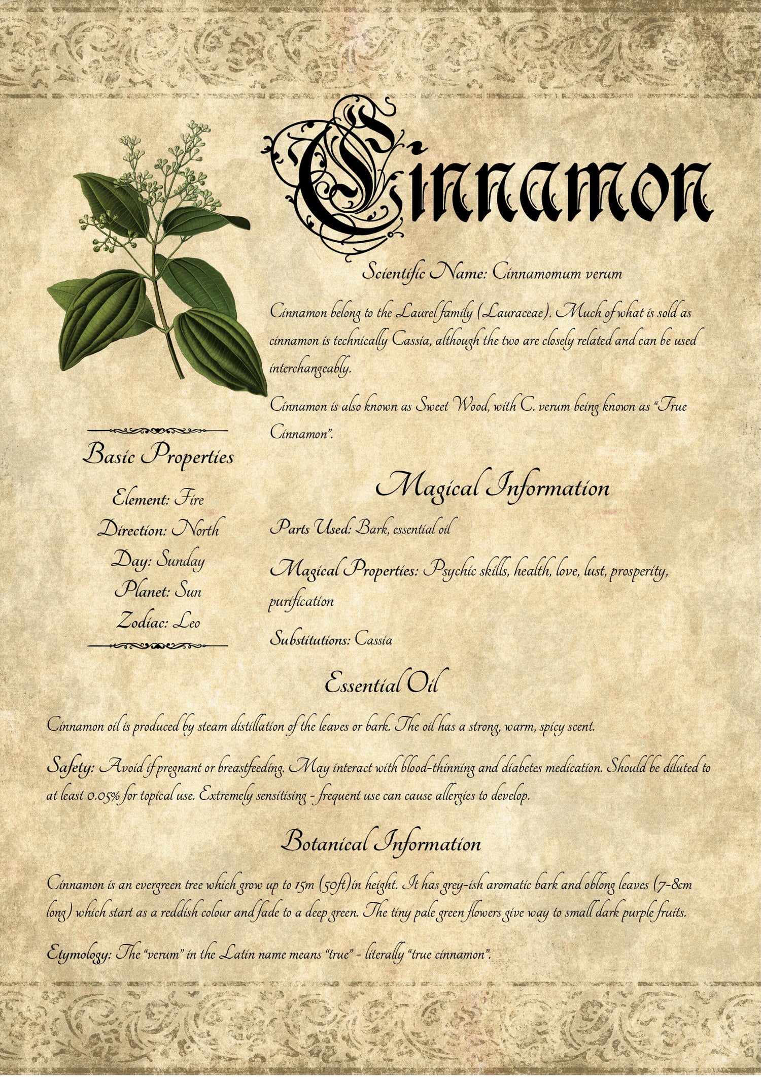 Antique-style grimoire page on the properties of Cinnamon, with an aged paper background and script font