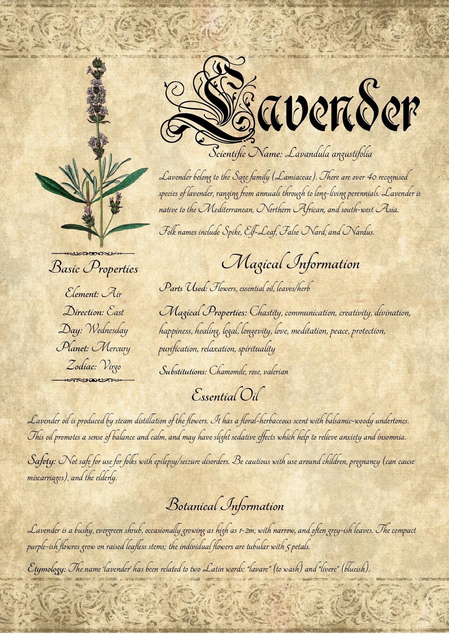 Antique-style grimoire page on the properties of Lavender, with an aged paper background and script font