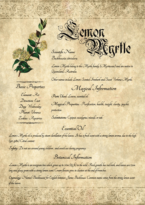 Antique-style grimoire page on the properties of Lemon Myrtle, with an aged paper background and script font