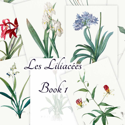 Les Liliacées (Book 1)