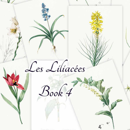 Les Liliacées (Book 4)