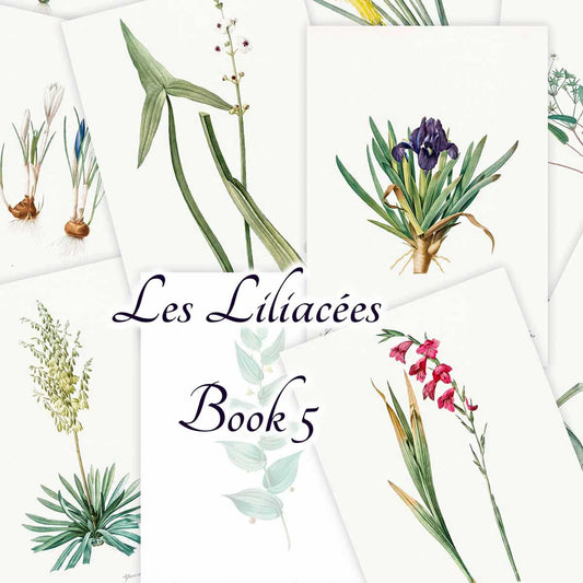 Les Liliacées (Book 5)