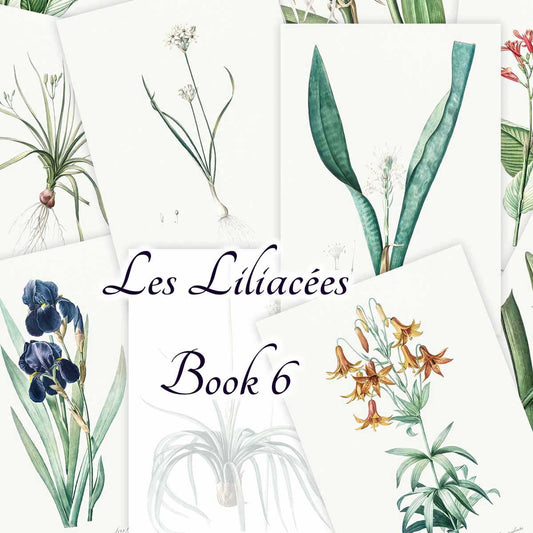 Les Liliacées (Book 6)