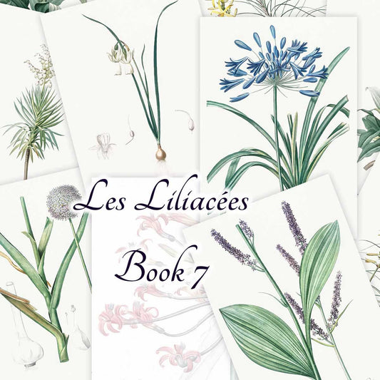 Les Liliacées (Book 7)