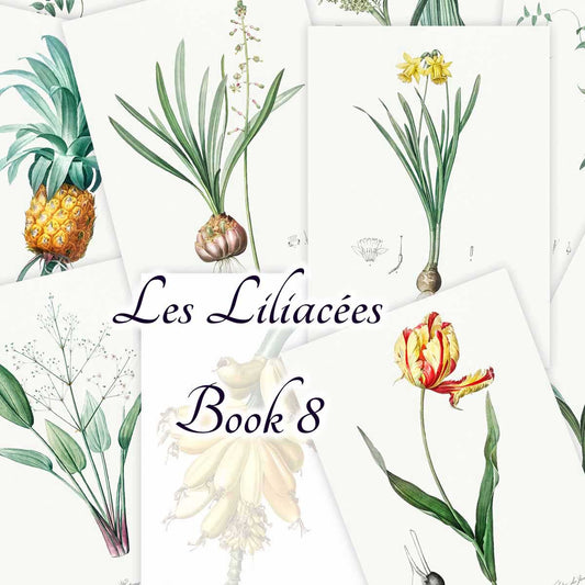 Les Liliacées (Book 8)