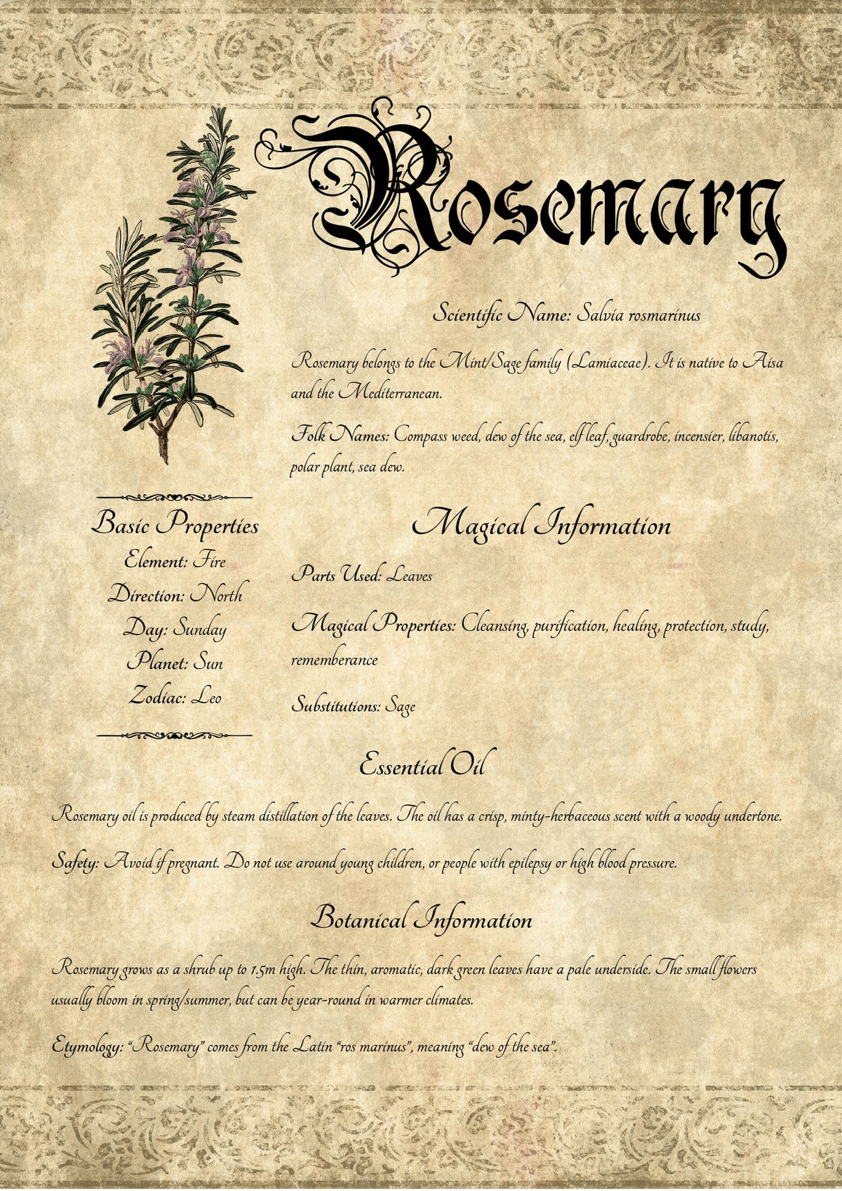Antique-style grimoire page on the properties of Rosemary, with an aged paper background and script font