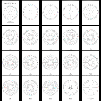 Phenology Wheels: Labelled