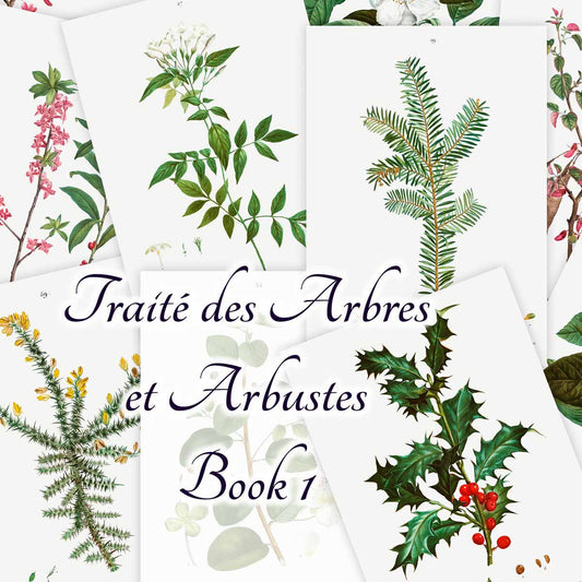 Traité des Arbres et Arbustes (Book 1)