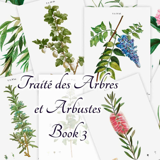 Traité des Arbres et Arbustes (Book 3)