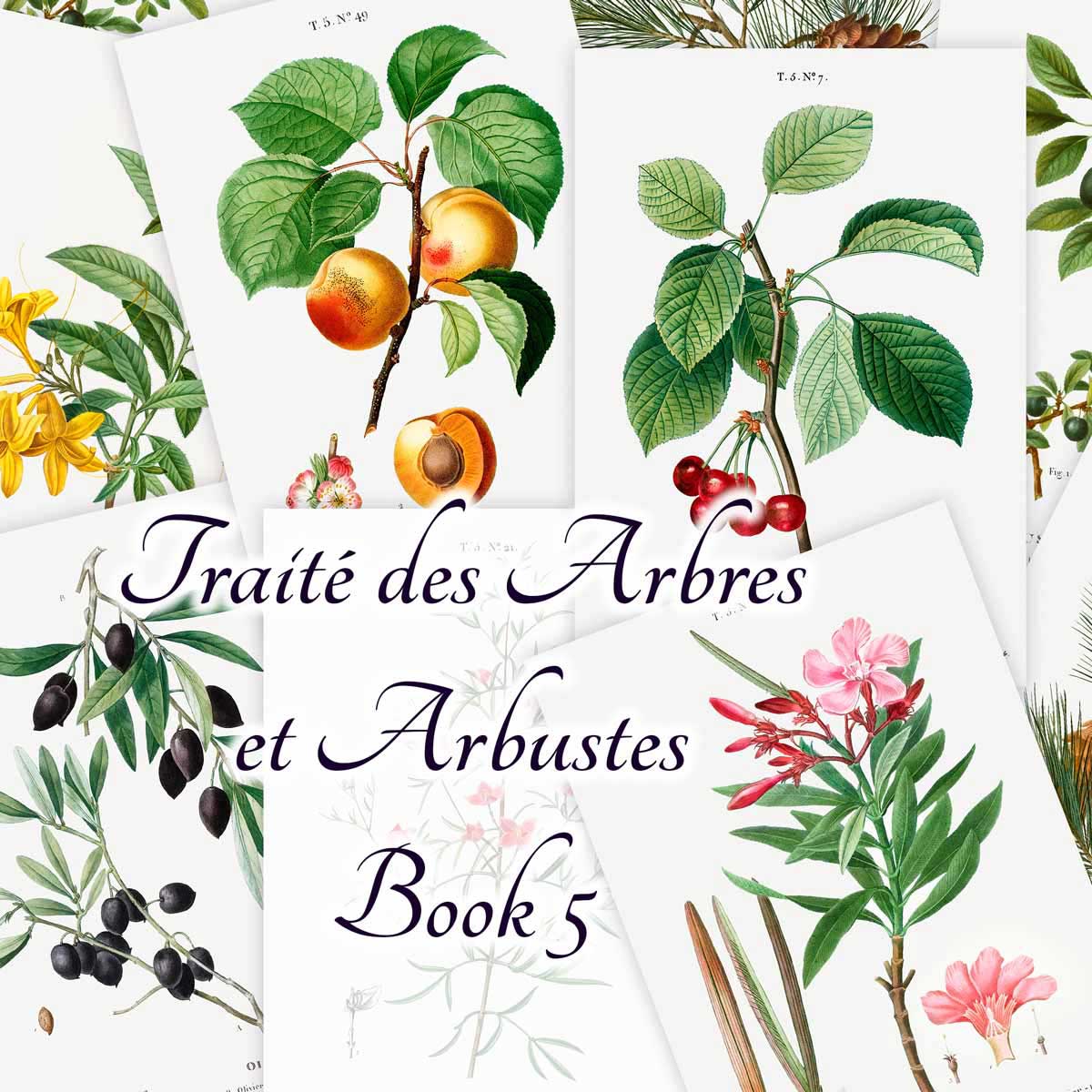 Traité des Arbres et Arbustes (Book 5)