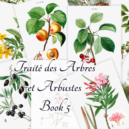 Traité des Arbres et Arbustes (Book 5)