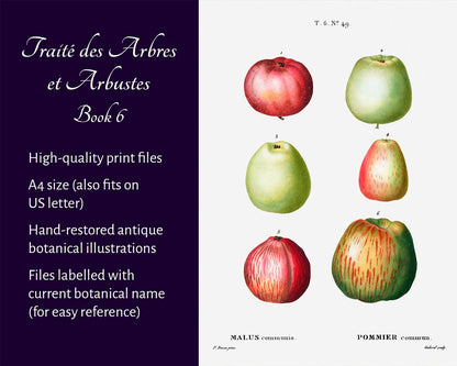 Traité des Arbres et Arbustes (Book 6)