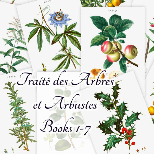 Traité des Arbres et Arbustes (All Books, 1-7)