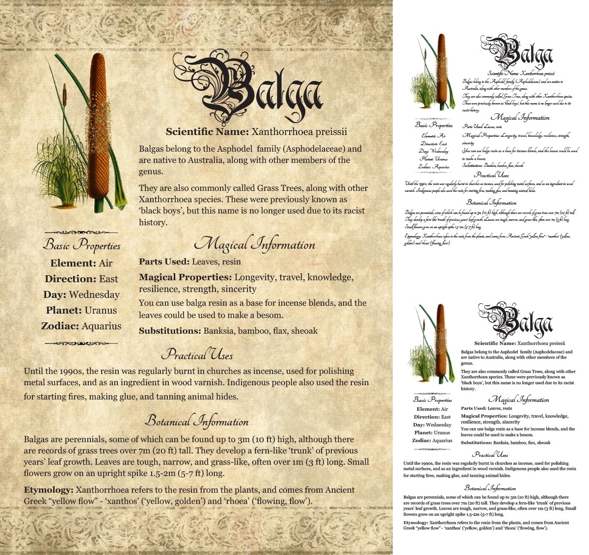 Collage of 3 versions of the Balga grimoire page: with a readable/serif vs script font + with/without background