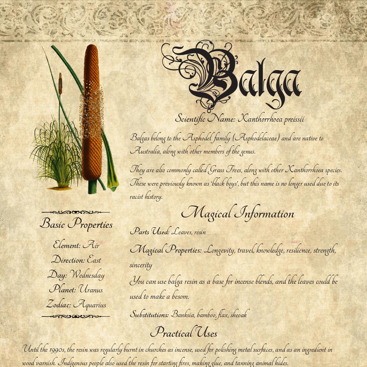 Antique-style grimoire page on the properties of Balga, with an aged paper background and script font