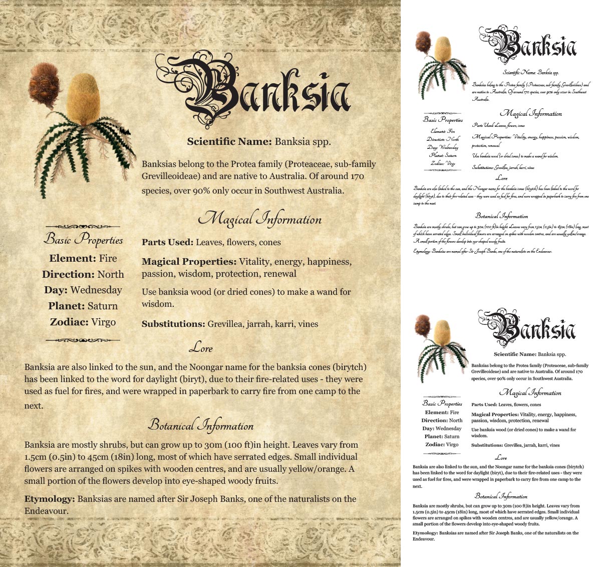 Collage of 3 versions of the Banksia grimoire page: with a readable/serif vs script font + with/without background