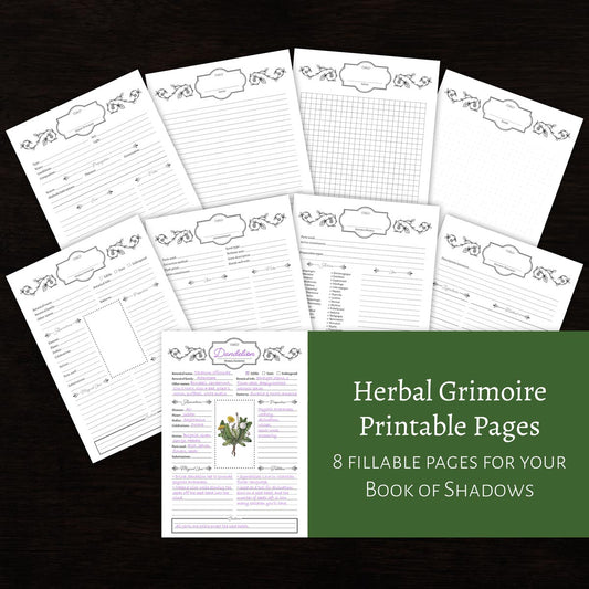 Herbal Grimoire Bundle: Green Witch DIY