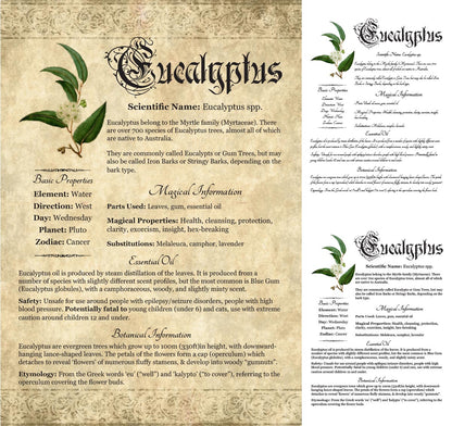 Collage of 3 versions of the Eucalyptus grimoire page: with a readable/serif vs script font + with/without background