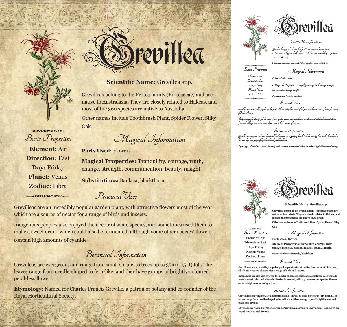 Collage of 3 versions of the Grevillea grimoire page: with a readable/serif vs script font + with/without background